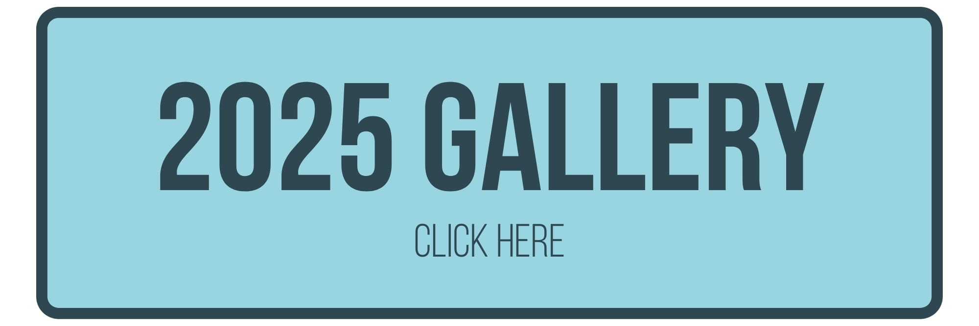 Graves Park Food Festival 2025 Gallery